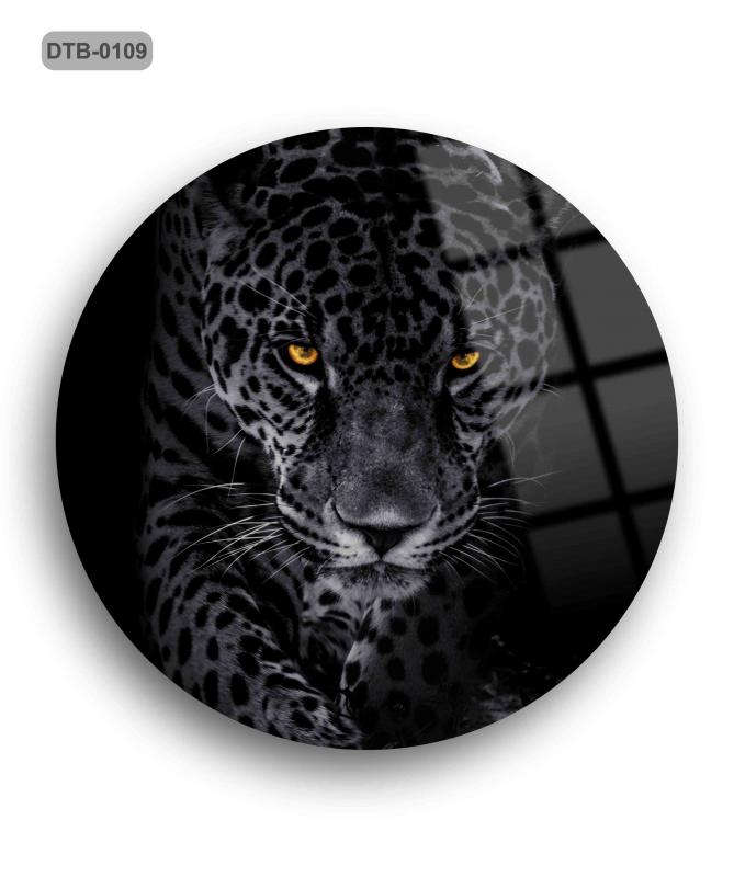 Jaguar%20Cam%20Tablo