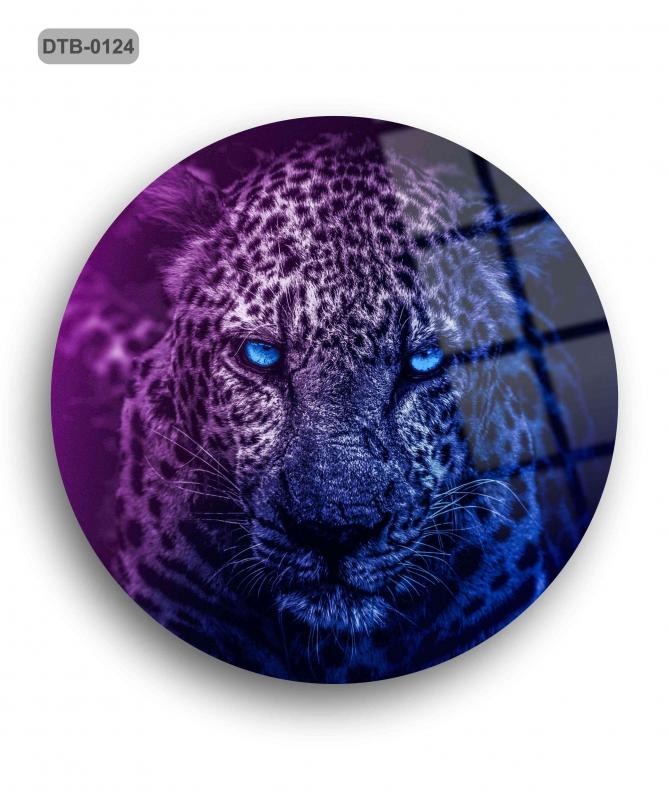 Jaguar%20Cam%20Tablo