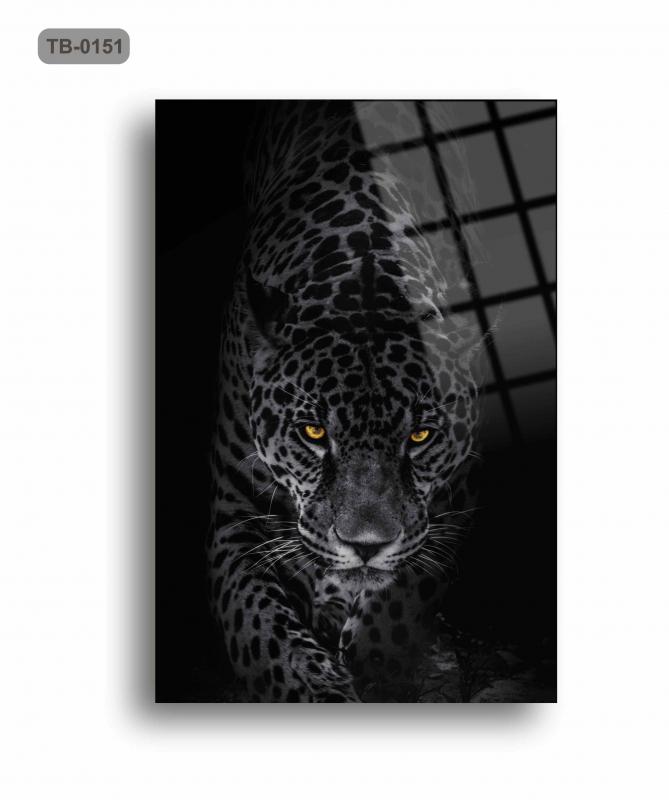 Leopar%20Cam%20Tablo